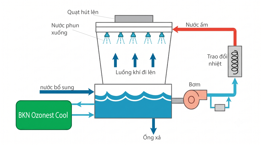 Sơ đồ hoạt động BKN Ozonest cool với tháp giải nhiệt
